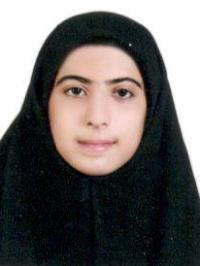 درسا کچوئی کسب رتبه دوم فناوری اطلاعات در جشنواره علمی و پژوهشی سلام کاپ